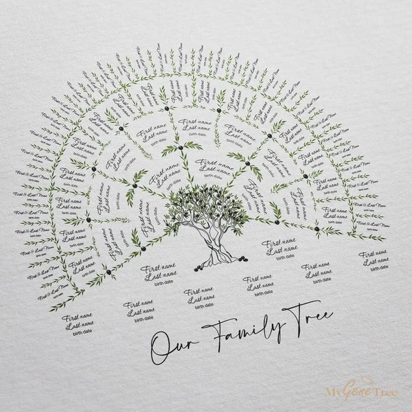 Olive Family Tree Large - MyGeneTree